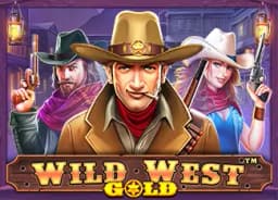 gdzy123: Wild West Gold